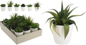 květina umělá SUKULENT v květníku pr.10cm, v.15cm, mix druhů