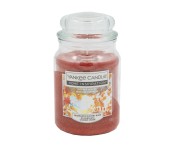 svíčka vonná sklo COPPER LEAVES 538g